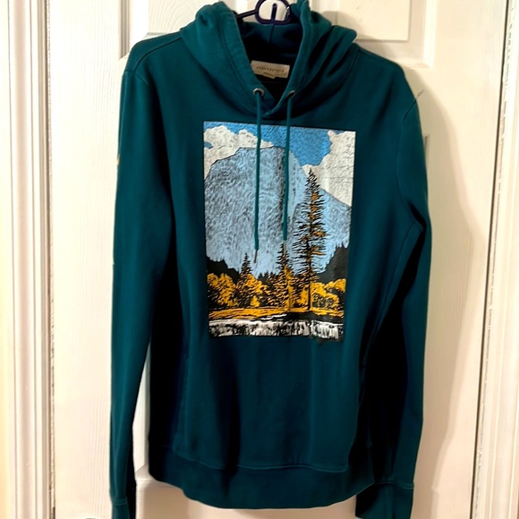 Aeropostale Graphic Hoodie, Mens, Size Medium, Green - Picture 1 of 3